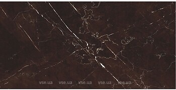 Фото TEO плитка Marmolino Brown F P R Full lappato 60x120