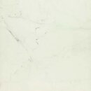 Фото Marazzi плитка Allmarble Altissimo 90x90 (MM7G)