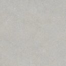 Фото Argenta плитка підлогова Khala Grey Matt Rect 120x120