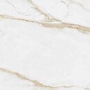 Фото Atrium плитка Portofino Gold Brillo 60.8x60.8