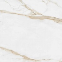 Фото Atrium плитка Portofino Gold Brillo 60.8x60.8