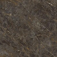 Фото La Faenza плитка Aesthetica Ae Gol6 120 Lp 120x120
