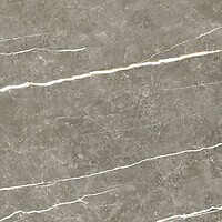 Фото TAU Ceramica плитка Elite Graphite Pul 60x60
