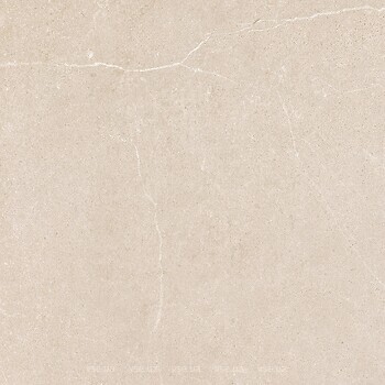 Фото TAU Ceramica плитка Novastone Ivory Rect 60x60