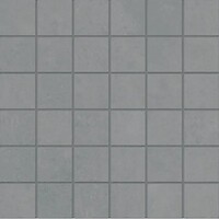 Фото Ergon мозаїка Pigmento Grigio Basalto Silktech 30x30 (Elxw)