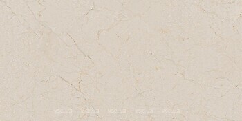 Фото Arcana плитка Black&Cream Cream-R Dune 60x120