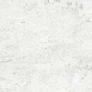 Фото Gresmanc плитка підлогова Evolution Base White Stone 60x60