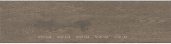 Фото Apavisa плитка Arco G-7112 Brown Natural 25x100