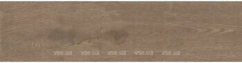Фото Apavisa плитка Arco G-7146 Maple Natural 25x100