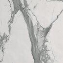Фото FAP плитка Roma Stone Carrara Superiore Matt 80x80