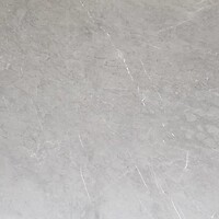 Фото Inspiro Ceramica плитка Pietra Carving Mat 120x120