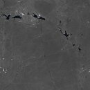 Фото Cerdisa плитка Archistone 2 Negresco Crs 80x80