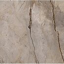 Фото Apavisa плитка Wild Forest Grey Natural Mix 120x120
