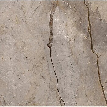 Фото Apavisa плитка Wild Forest Grey Natural Mix 120x120