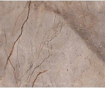 Фото Apavisa плитка Wild Forest Grey Polished Mix 120x120