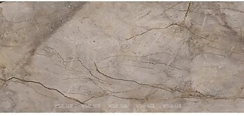 Фото Apavisa плитка Wild Forest Grey Polished 120x260