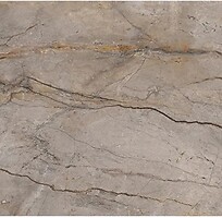 Фото Apavisa плитка Wild Forest Grey Polished 60x60