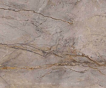 Фото Apavisa плитка Wild Forest Grey Polished 60x120