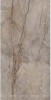 Фото Apavisa плитка Wild Forest Grey Polished Mix 120x280