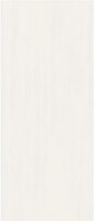Фото Inspiro Ceramica плитка Charm Bone Structured 120x280