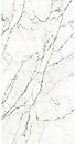 Фото ABK Ceramiche плитка Stone Statuario Fantastico Slab B 163x323 (PF60013338)