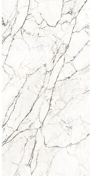 Фото ABK Ceramiche плитка Stone Statuario Fantastico Slab B 163x323 (PF60013338)