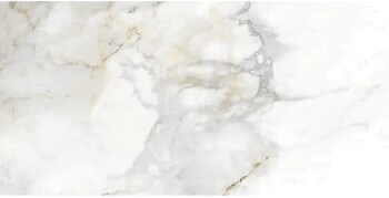 Фото Ceracasa Ceramica плитка Vita White Gloss 49.1x98.2