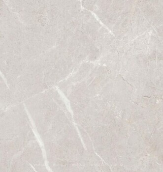 Фото TEO плитка Arber Silver F P Mat Rec 60x60