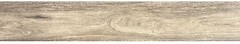 Фото TEO плитка Sequoia Gold Mat F PR 19.8x120