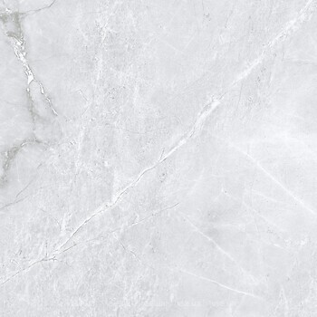 Фото Inter Gres плитка Atlantide Light Grey 60x60 (6060 204 071/L)