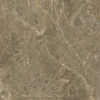 Фото La Fenice плитка Suveya Emperador Rett 60x60