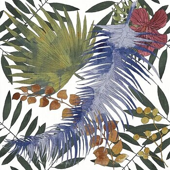 Фото Codicer 95 плитка Tahiri Garden 25x25
