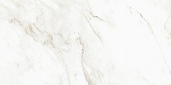 Фото Asia Pacific плитка підлогова Calcatta Castellon Polished 60x120