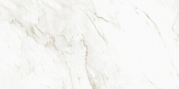 Фото Asia Pacific плитка підлогова Calcatta Castellon Polished 60x120