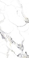 Фото Asia Pacific плитка підлогова Dragon Natural Polished 60x120