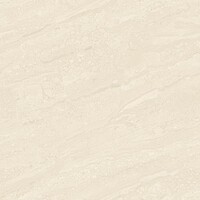 Фото Asia Pacific плитка підлогова Dyna Soluble Salt 60x60