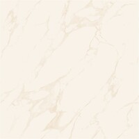 Фото Asia Pacific плитка підлогова Marble Soluble Salt 60x60