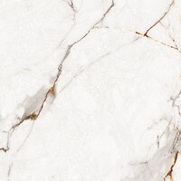 Фото Asia Pacific плитка підлогова Statuario Bottega Gold Polished 60x60