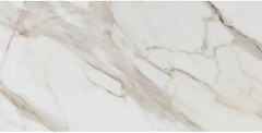 Фото RAK Ceramics плитка Calacatta Gold White 60x120