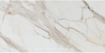 Фото RAK Ceramics плитка Calacatta Gold White 60x120