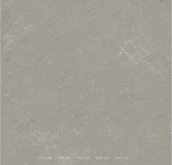 Фото Forbo плитка Shade Marmoleum Modular Pluto 50x50 (t3718)