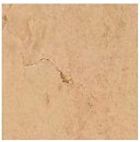 Фото Marazzi плитка Allmarble Crema Marfil 60x60 (MELS)