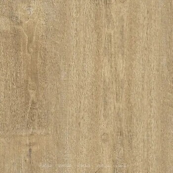 Фото Ragno ceramica плитка Woodsense Xt20 Beige Rt 60x60 (R7LF)