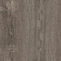 Фото Ragno ceramica плитка Woodsense Xt20 Grigio Rt 60x60 (R7LH)