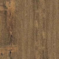 Фото Ragno ceramica плитка Woodsense Xt20 Marrone Rt 60x60 (R7LG)