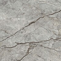 Фото Golden Tile плитка підлогова Carisma сірий 60x60 (CM2580)