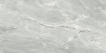Фото Golden Tile плитка підлогова Silver Roots сірий 60x120 (S92990)