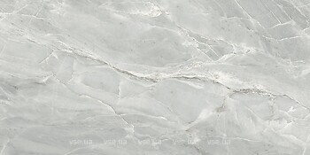 Фото Golden Tile плитка підлогова Silver Roots сірий 60x120 (S92990)