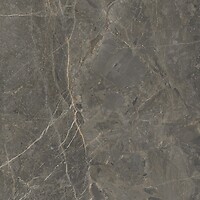 Фото Golden Tile плитка підлогова Stone Roots коричневий 60x60 (SO7580)