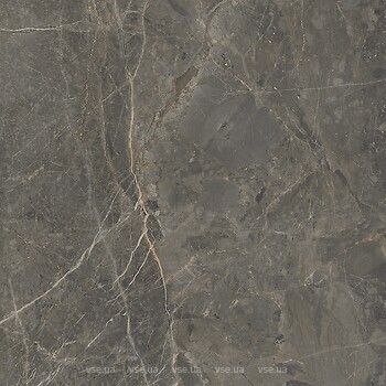 Фото Golden Tile плитка напольная Stone Roots коричневый 60x60 (SO7580)